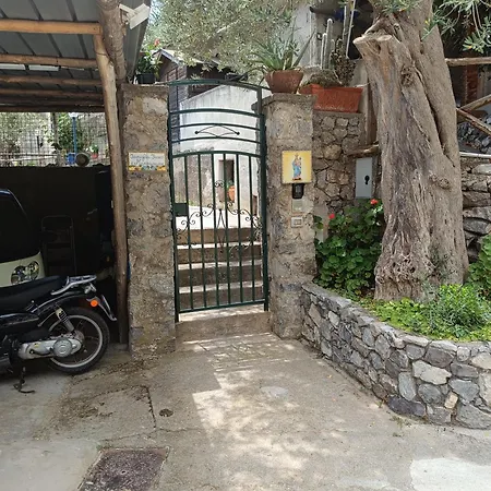 La Selva Santa